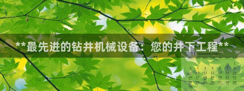金年会今年会官方在线登录：**最先进的钻井机械设备：您的井下工程**