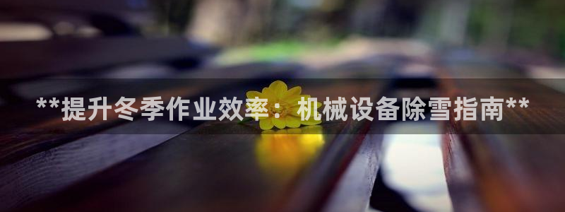 金年会入口登录：**提升冬季作业效率：机械设备除雪指南**