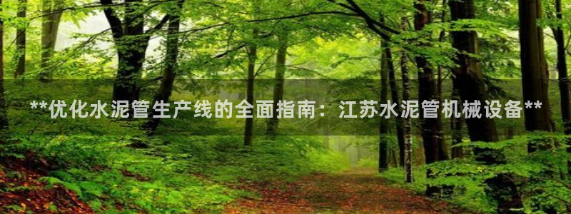 金年会电子平台：**优化水泥管生产线的全面指南：江苏水泥管机械设备**
