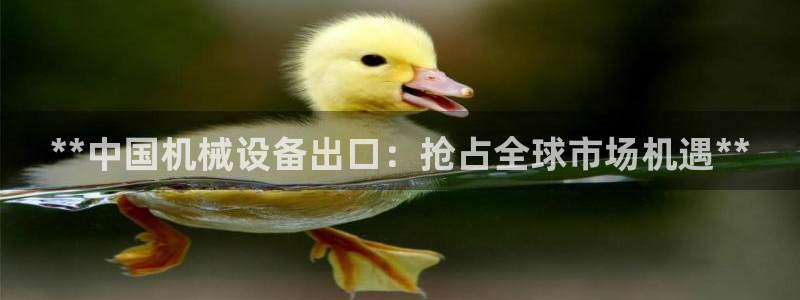 金年会入口网站：**中国机械设备出口：抢占全球市场机遇**