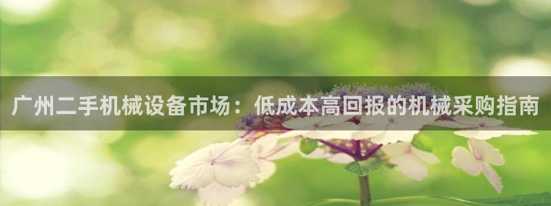 金年会官方在线入口网址：广州二手机械设备市场：低成本高回报的机械采购指南