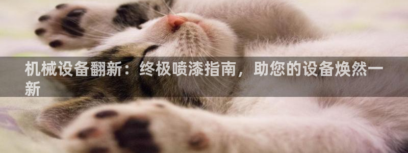 金年会金字招牌信誉至上365：机械设备翻新：终极喷漆指南，助您的设备焕然一
新