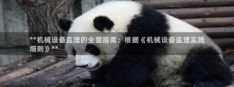 金年会 金字招牌诚信至上：**机械设备监理的全面指南：根据《机械设备监理实施
细则》**
