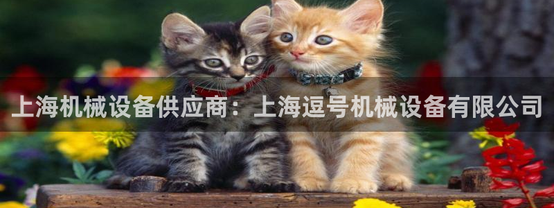 金年会官方网站入口app：上海机械设备供应商：上海逗号机械设备有限公司