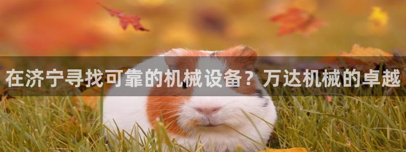 金年会体育app平台怎么样：在济宁寻找可靠的机械设备？万达机械的卓越