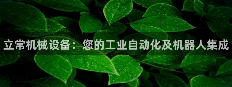 金年会体育官网：立常机械设备：您的工业自动化及机器人集成