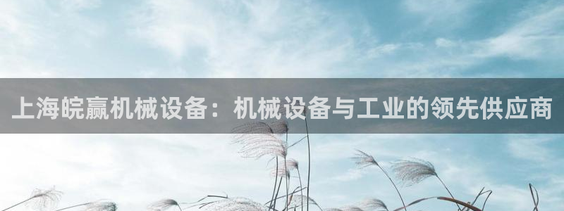 金年会官方网站入口登录手机版下载：上海皖赢机械设备：机械设备与工业的领先供应商