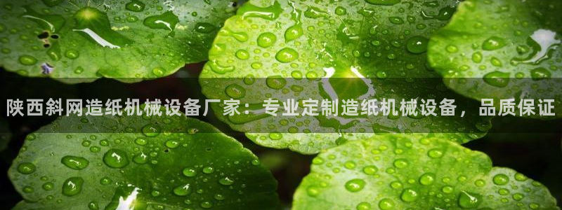 金年会官方体育登陆入口：陕西斜网造纸机械设备厂家：专业定制造纸机械设备，品质保证