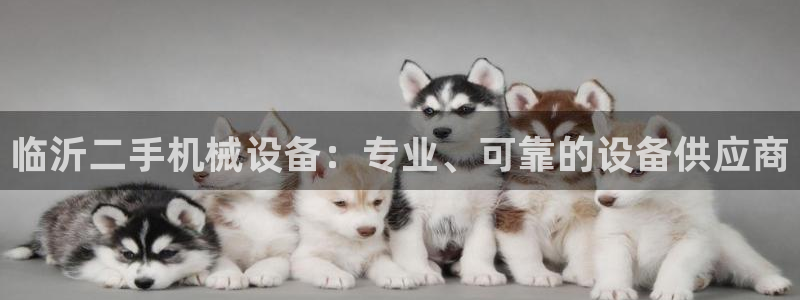 金年会vip888：临沂二手机械设备：专业、可靠的设备供应商