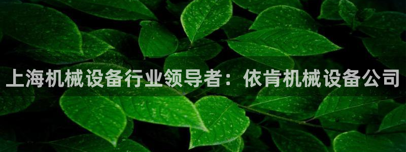 金年会ivp：上海机械设备行业领导者：依肯机械设备公司