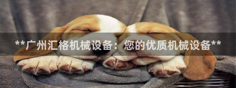 金年会体育官方入口：**广州汇格机械设备：您的优质机械设备**