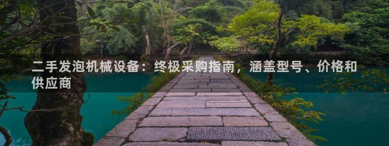 金年会平台官网登录：二手发泡机械设备：终极采购指南，涵盖型号、价格和
供应商