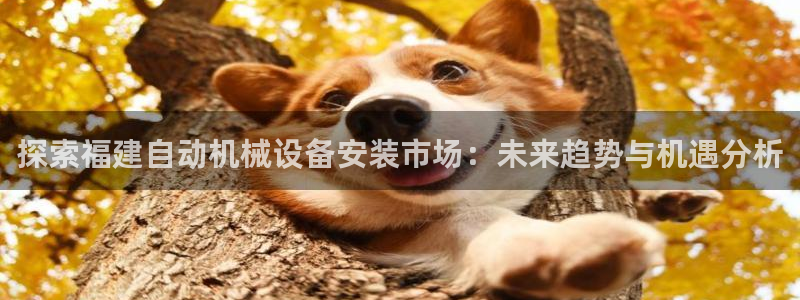 金年会体育网站：探索福建自动机械设备安装市场：未来趋势与机遇分析