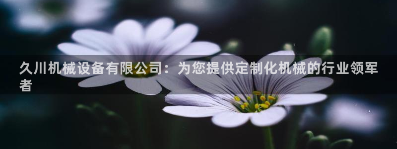 金年会体育手机app下载官网最新版：久川机械设备有限公司：为您提供定制化机械的行业领军
者