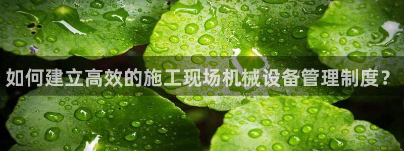 金年会手机网页版：如何建立高效的施工现场机械设备管理制度？
