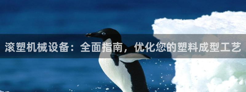 金年会官方在线登录网址是多少啊：滚塑机械设备：全面指南，优化您的塑料成型工艺