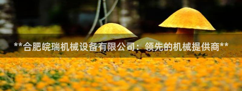 金年会电子游戏app官方入口网站：**合肥皖瑞机械设备有限公司：领先的机械提供商**