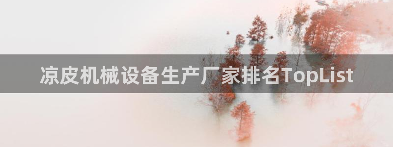 金年会体育官方app下载安装：凉皮机械设备生产厂家排名TopList