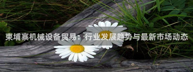 金年会官方娱乐app下载：柬埔寨机械设备贸易：行业发展趋势与最新市场动态