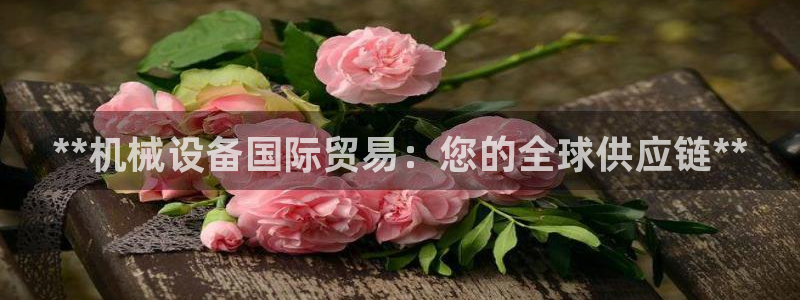 金年会app平台有人玩过吗安全吗：**机械设备国际贸易：您的全球供应链**
