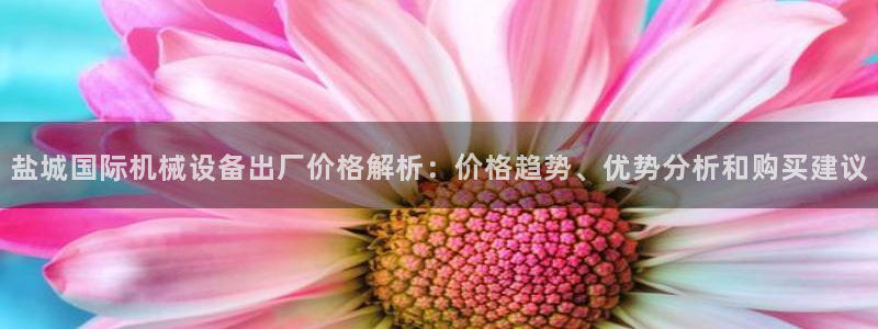 金年会pp电子：盐城国际机械设备出厂价格解析：价格趋势、优势分析和购买建议