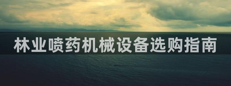 金年会体育app下载安装