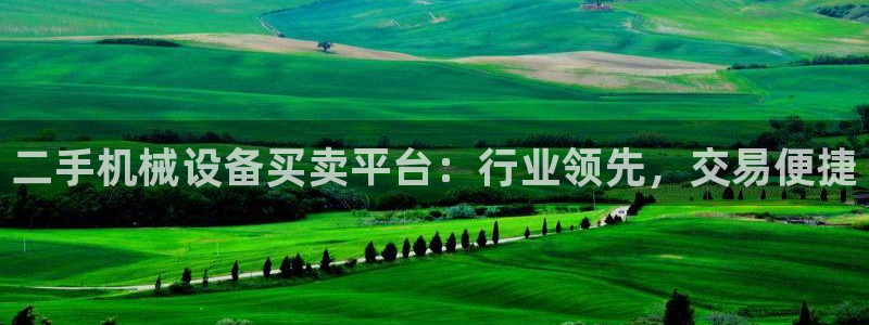 金年会赌博案