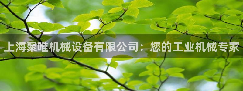 金年会金字招牌诚信