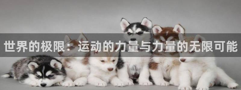 3377体育在线：世界的极限：运动的力量与力量的无限可能