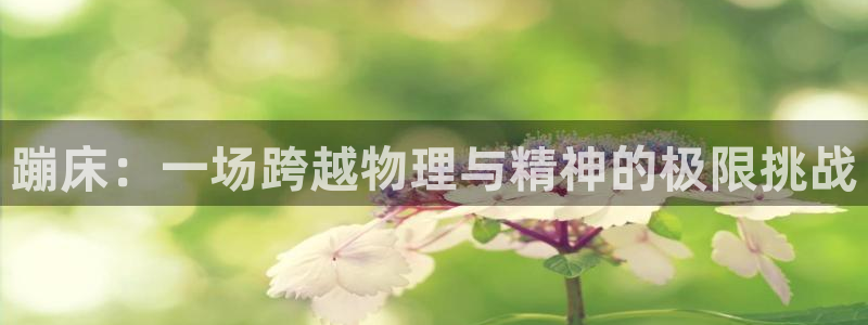 3377体育在线：蹦床：一场跨越物理与精神的极限挑战