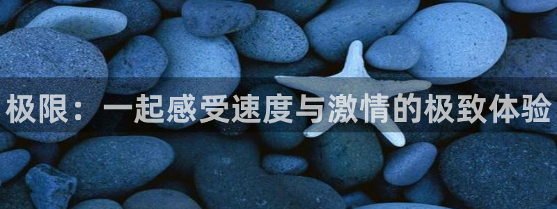 3377体育在线：极限：一起感受速度与激情的极致体验