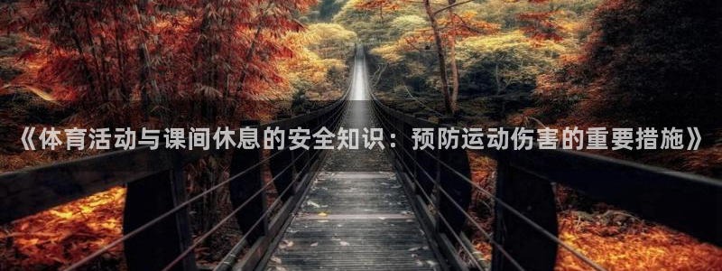 3377体育是正规平台吗：《体育活动与课间休息的安全知识：预防运动伤害的重要措施》
