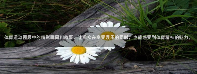 3377体育app官网下载地址：体育运动视频中的精彩瞬间和故事，让观众在享受娱乐的同时，也能感受到体育精神的魅力。