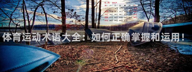 3377体育是正规平台吗：体育运动术语大全：如何正确掌握和运用！