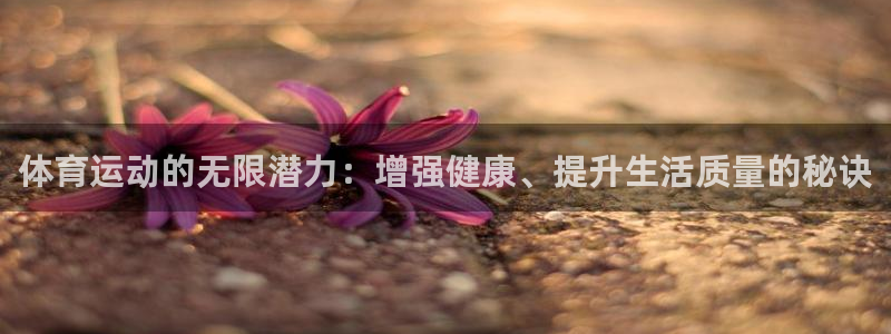 3377体育平台：体育运动的无限潜力：增强健康、提升生活质量的秘诀