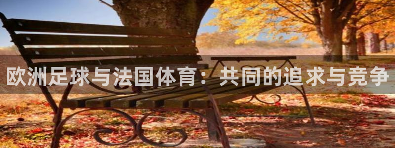 3377体育手机平台：欧洲足球与法国体育：共同的追求与竞争