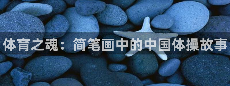 3377体育官网：体育之魂：简笔画中的中国体操故事