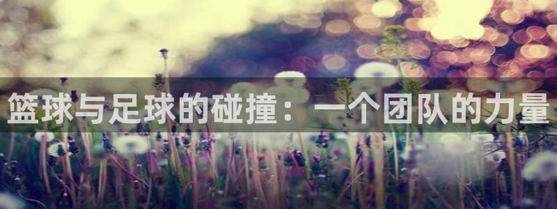 3377体育：篮球与足球的碰撞：一个团队的力量