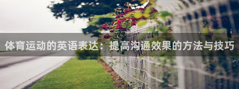 3377体育在线