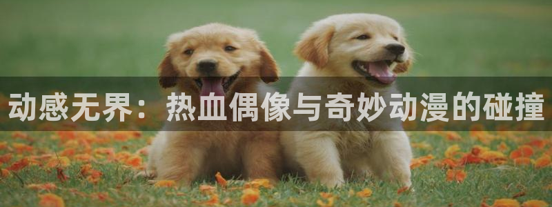 3377体育在线登录官网入口：动感无界：热血偶像与奇妙动漫的碰撞