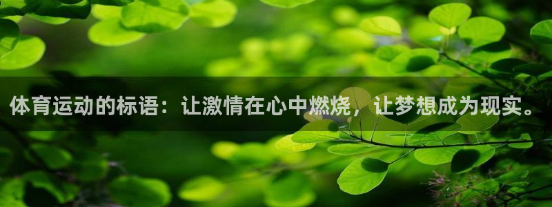 3377体育com：体育运动的标语：让激情在心中燃烧，让梦想成为现实。