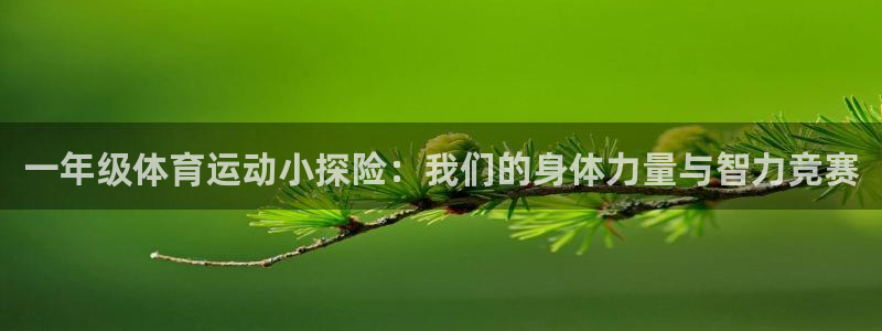 3377体育在线：一年级体育运动小探险：我们的身体力量与智力竞赛