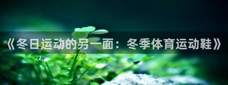 3377体育官网入口网页版：《冬日运动的另一面：冬季体育运动鞋》