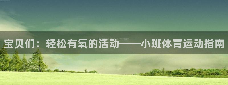 3377体育平台：宝贝们：轻松有氧的活动——小班体育运动指南