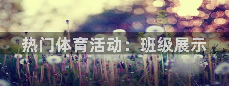 3377体育官网下载：热门体育活动：班级展示