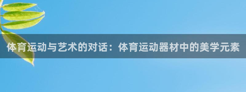 3377体育是正规的吗：体育运动与艺术的对话：体育运动器材中的美学元素