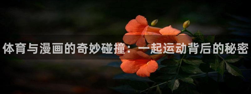 3377体育app官网下载地址：体育与漫画的奇妙碰撞：一起运动背后的秘密