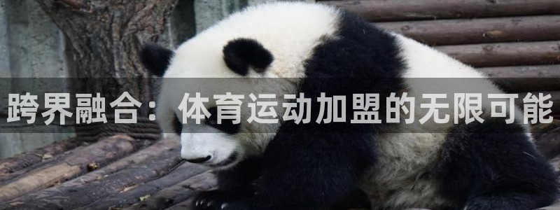 3377体育官网入口网页版：跨界融合：体育运动加盟的无限可能