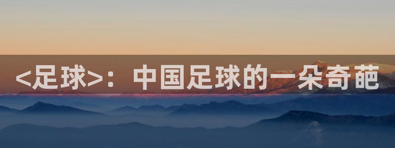 3377体育app官网下载地址：<足球>：中国足球的一朵奇葩