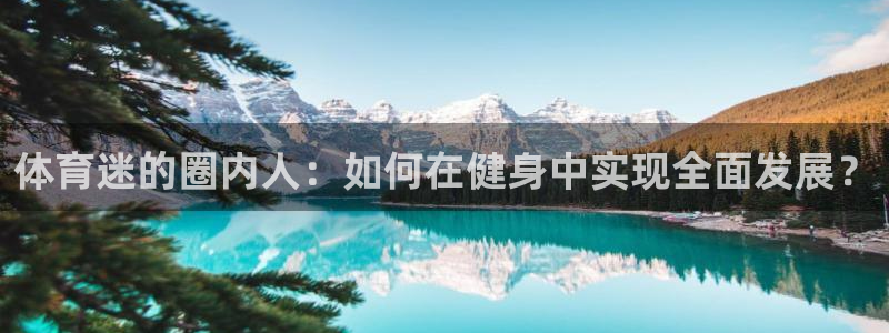 3377体育app官方下载：体育迷的圈内人：如何在健身中实现全面发展？